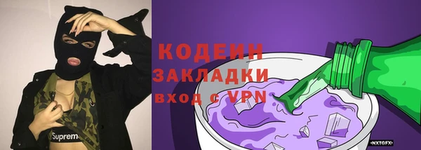 прущие грибы Абинск