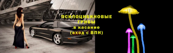 бутират Алзамай