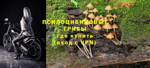 марки nbome Алексеевка